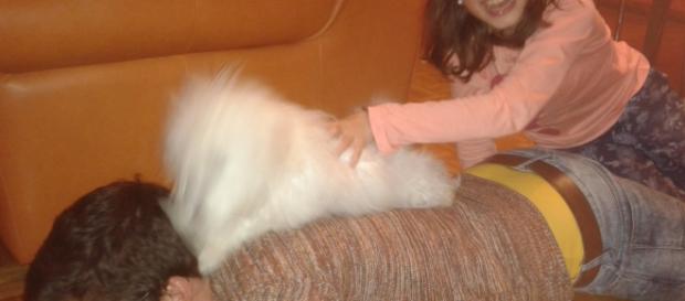 Copii + bichon maltez = amuzament infinit Copii + bichon maltez = amuzament infinit