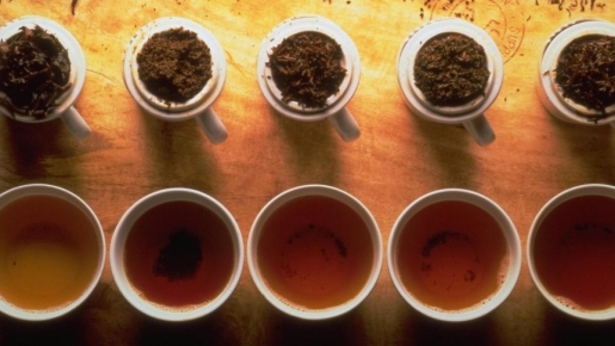 Los diferentes te y sus beneficios