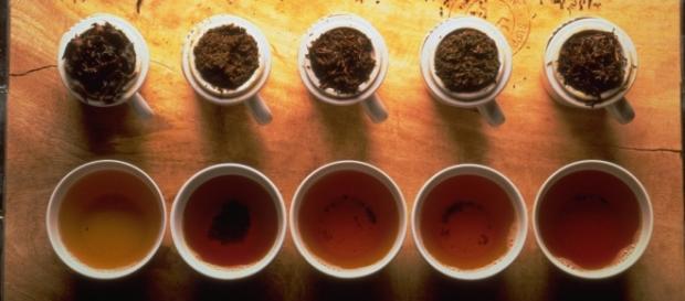 Distintos tipos de té y sus propiedades Distintos tipos de té y sus propiedades