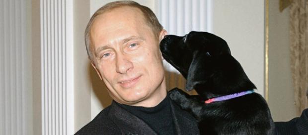Putin presenteou menina pobre com um labrador Putin presenteou menina pobre com um labrador
