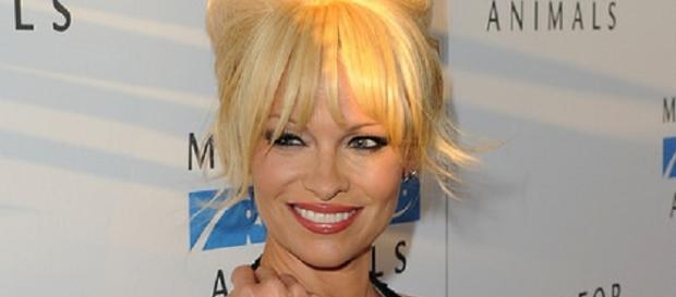 Anderson will feature in Playboy's next issue Anderson will feature in Playboy's next issue