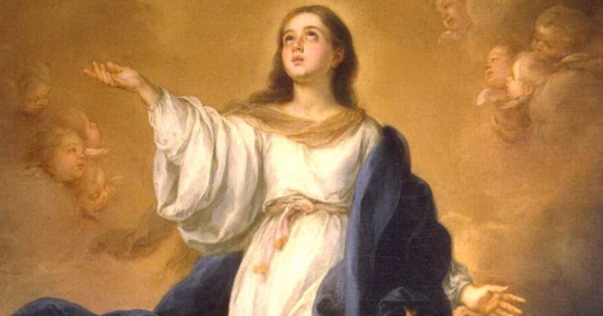 Dediche Immacolata Concezione, 8/12 Dediche Immacolata Concezione, 8/12
