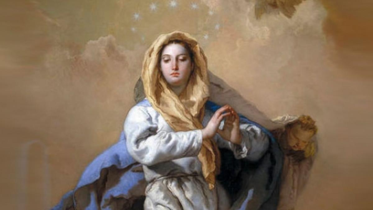 Frasi Immacolata Concezione Origini Citazioni Pensieri Religiosi E Originali