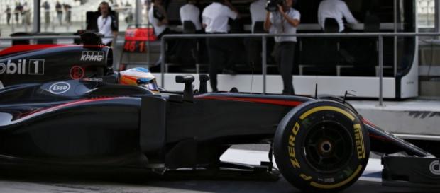 Fernando Alonso en el último gran premio del año Fernando Alonso en el último gran premio del año