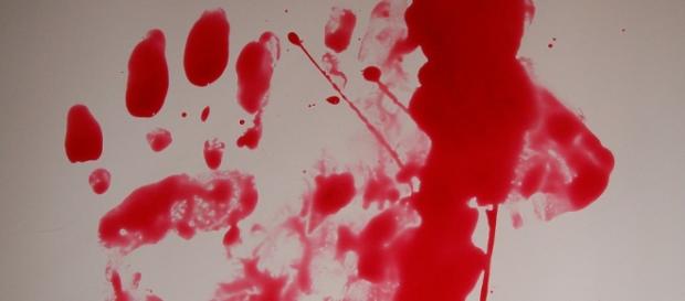 Nuovo giallo a Brescia: scoperto un cadavere Nuovo giallo a Brescia: scoperto un cadavere