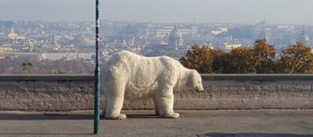 L'orso bianco dell'associazione Greenpeace L'orso bianco dell'associazione Greenpeace