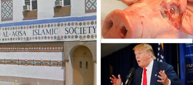 O moschee din SUA profanată cu un cap de porc O moschee din SUA profanată cu un cap de porc