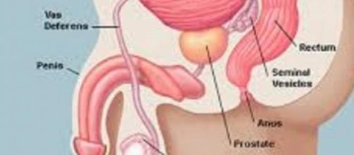 Tumore alla prostata: novità importanti in arrivo 