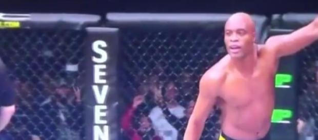 Anderson Silva, o Spider do UFC Anderson Silva, o Spider do UFC