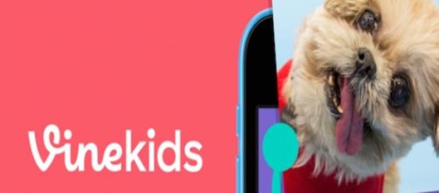 Vine Kids, una plataforma para los más pequeños. Vine Kids, una plataforma para los más pequeños.