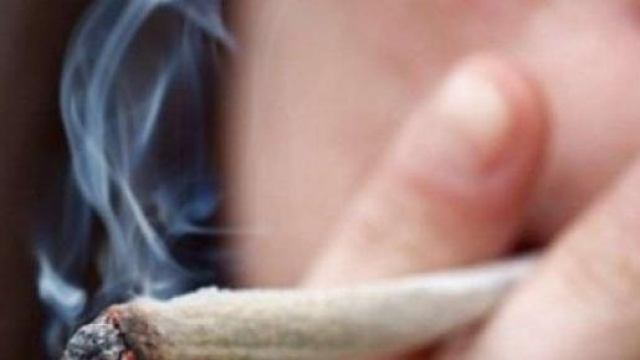 Cannabis nociva in età di sviluppo