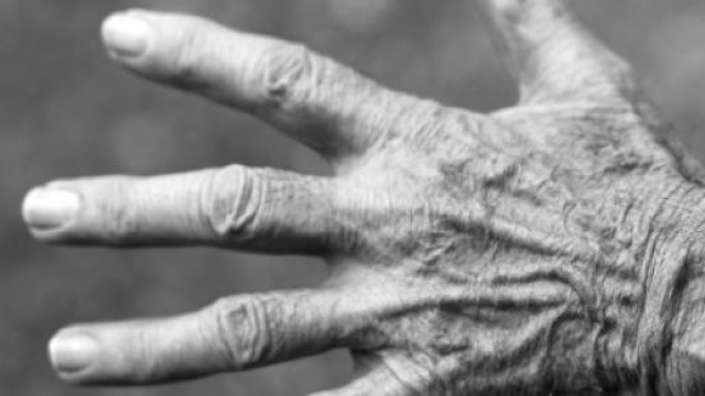 Riforma pensioni 2015, svolta a febbraio?