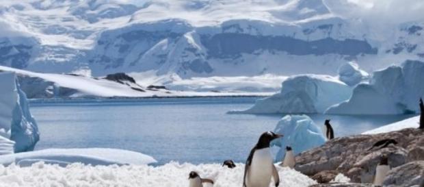 Aumento da temperatura nos oceanos Aumento da temperatura nos oceanos