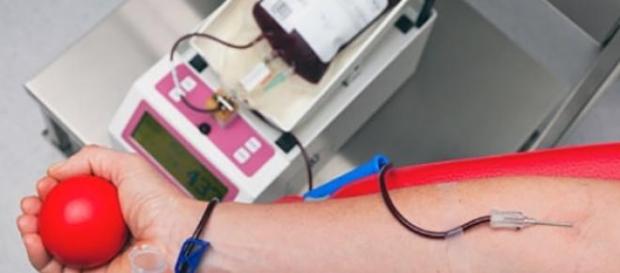 Doar sangue é um acto de solidariedade Doar sangue é um acto de solidariedade