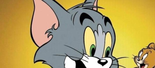 Tom si Jerry - desenele copilariei mele Tom si Jerry - desenele copilariei mele