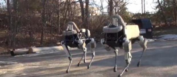 Boston Dynamics es propiedad de Google Boston Dynamics es propiedad de Google