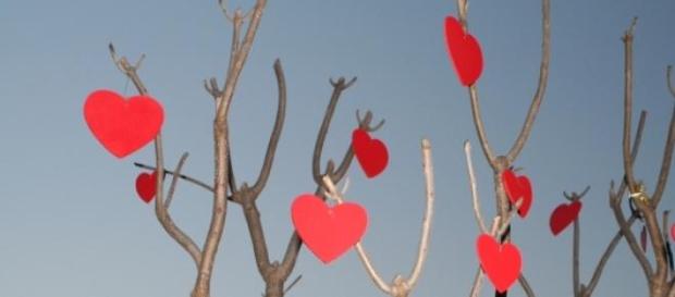 San Valentín, la celebración del amor San Valentín, la celebración del amor