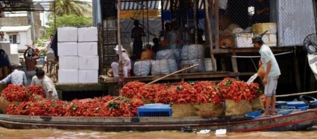 Les marchés du Mekong sont très polluants. Les marchés du Mekong sont très polluants.
