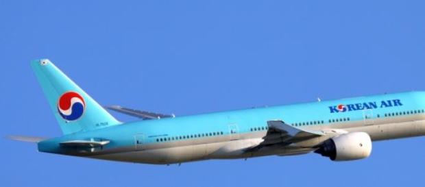 Airbus voou com estragos ligeiros na asa. Airbus voou com estragos ligeiros na asa.