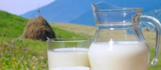 Beneficiile consumului de lapte Beneficiile consumului de lapte