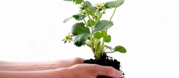 Vaga para educador ambiental Vaga para educador ambiental