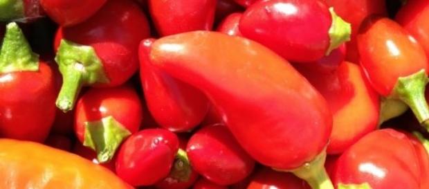 Capsaicina de los chiles, contra la obesidad Capsaicina de los chiles, contra la obesidad