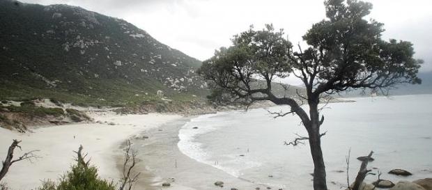 Faszinierende Natur an Australiens Südküste. Faszinierende Natur an Australiens Südküste.