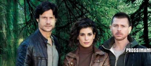 Il Bosco Canale 5, anticipazioni.