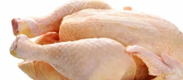 Alegea un pui de la micii producatori Alegea un pui de la micii producatori