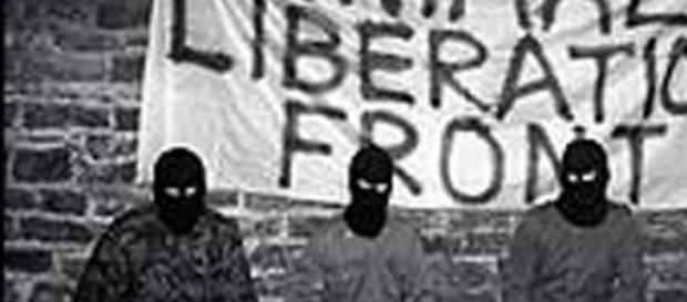 Des militants cagoulés de l'ALF Des militants cagoulés de l'ALF