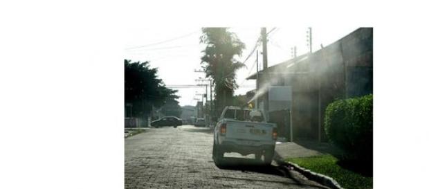 Ação contra a dengue em Itajaí-SC Ação contra a dengue em Itajaí-SC