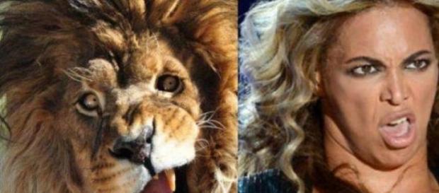 Beyonce fara poze retusate Beyonce fara poze retusate