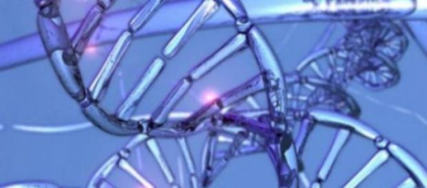 Es un vasto y ambicioso proyecto científico Es un vasto y ambicioso proyecto científico