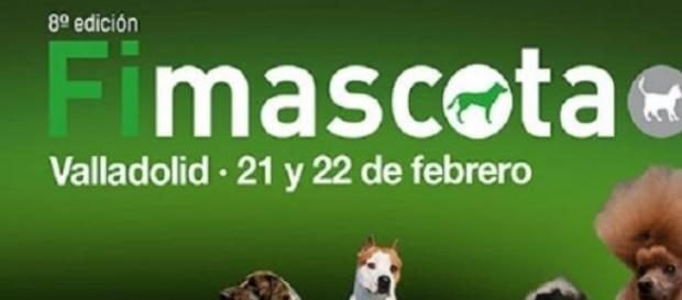 Feria internacional de mascotas en Valladolid Feria internacional de mascotas en Valladolid