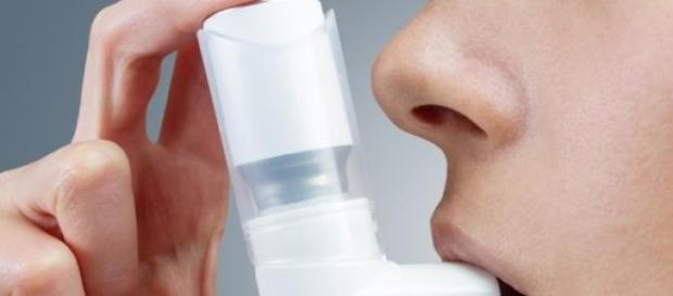 Foram estudados genes do sistema imunitário Foram estudados genes do sistema imunitário