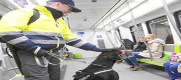 tintes racistas y homofobos en Metro de Madrid tintes racistas y homofobos en Metro de Madrid