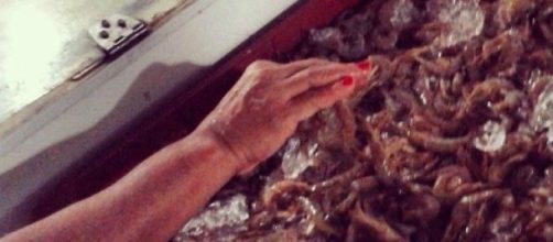 Turista escolhe camarão em mercado no litoral