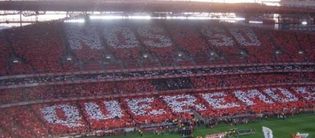 Benfica voltou à Luz e voltou às vitórias. Benfica voltou à Luz e voltou às vitórias.