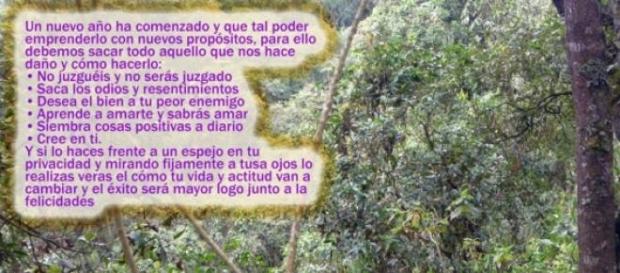 Cambia de actitud para el nuevo año Cambia de actitud para el nuevo año