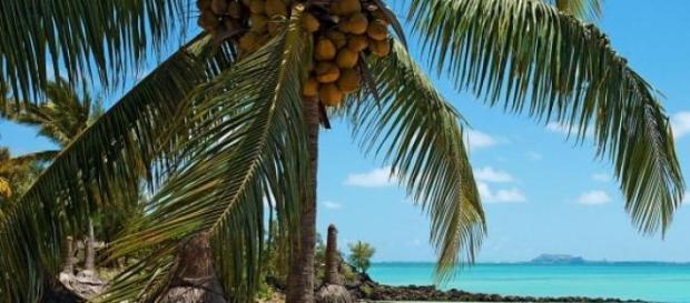 Rajskie plaże na Mauritiusie. Rajskie plaże na Mauritiusie.