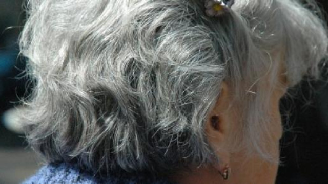 Pensioni 2015, ultime su quota 96 e opzione donne