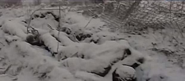 Tausende getöteter ukrainischer Soldaten Tausende getöteter ukrainischer Soldaten