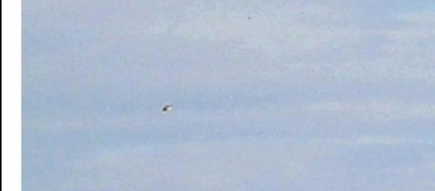 Ufo: avvistamento vicino ad Ancona Ufo: avvistamento vicino ad Ancona