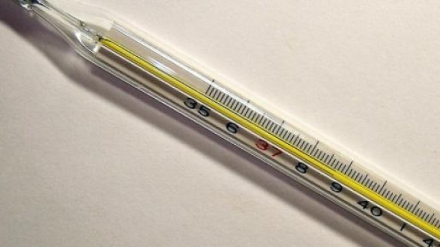 Influenza 2015: sintomi, rimedi e picco 