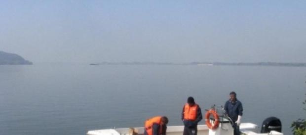 Anchetatorii incearca sa depisteze cauza poluarii Anchetatorii incearca sa depisteze cauza poluarii