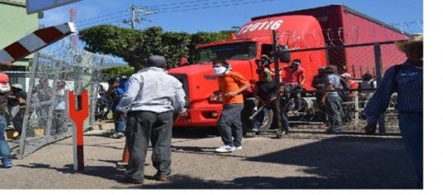 Se han robado hasta 250 camiones de Coca-Cola Se han robado hasta 250 camiones de Coca-Cola