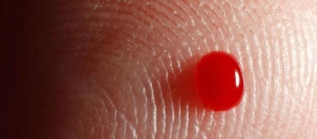 Científicos crean prueba rápida del ébola Científicos crean prueba rápida del ébola
