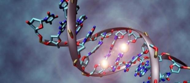 El ADN es un potente instrumento de codificación El ADN es un potente instrumento de codificación