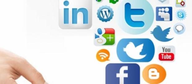 la importancia de las redes sociales la importancia de las redes sociales