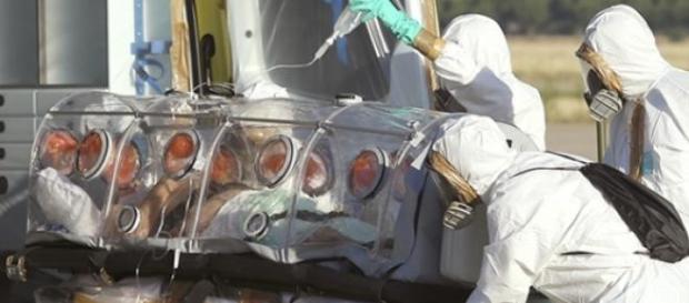 Le virus Ebola a fait plus de 9000 victimes. Le virus Ebola a fait plus de 9000 victimes.